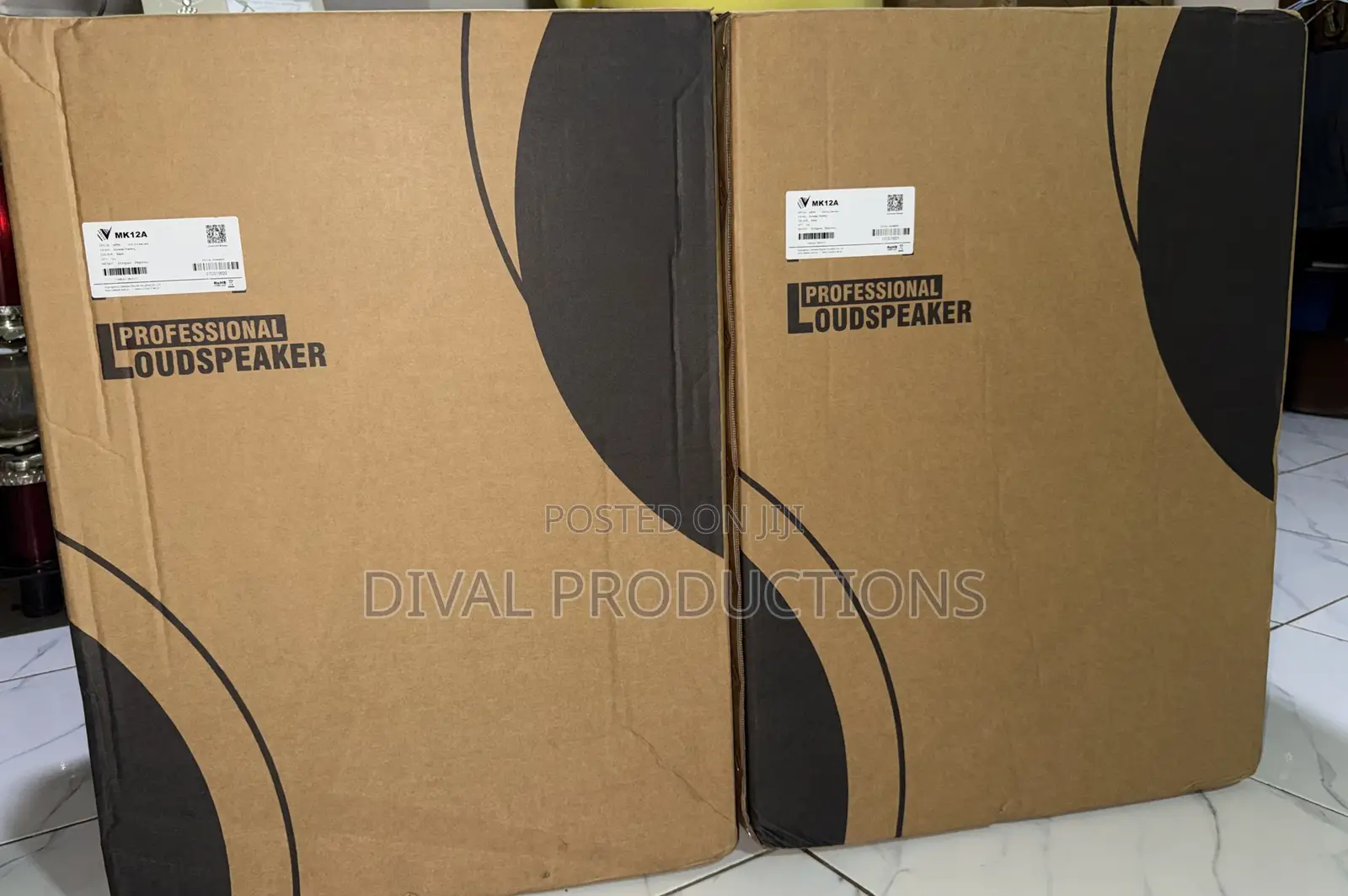 Active Monitor 12” (Pair)