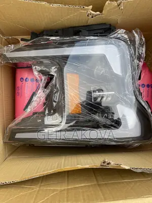 Ford F150 Head Light