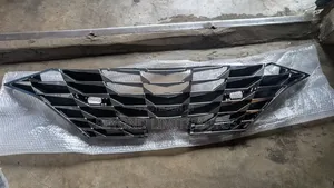 Hyundai Elantra 2021 - 2023 Front Grille / Front Shell