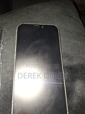 Apple iPhone 17 Pro Max 256 GB Silver