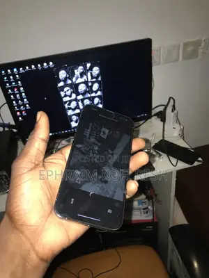 Apple iPhone 13 Pro Max 128 GB Gray