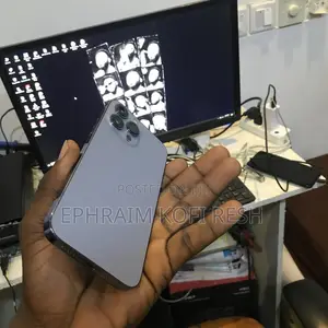 Apple iPhone 13 Pro Max 128 GB Gray