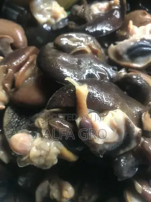 Snail Meat