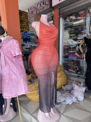 Bodycon Maxi Mesh Dress