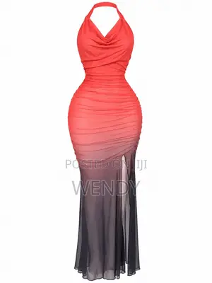 Bodycon Maxi Mesh Dress
