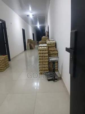 Golden Eggs