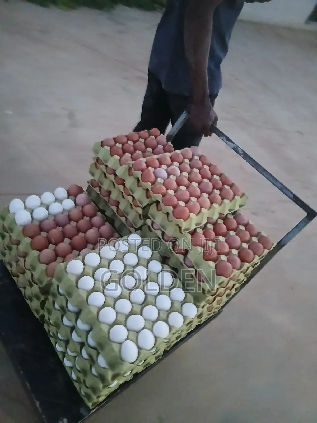 Golden Eggs