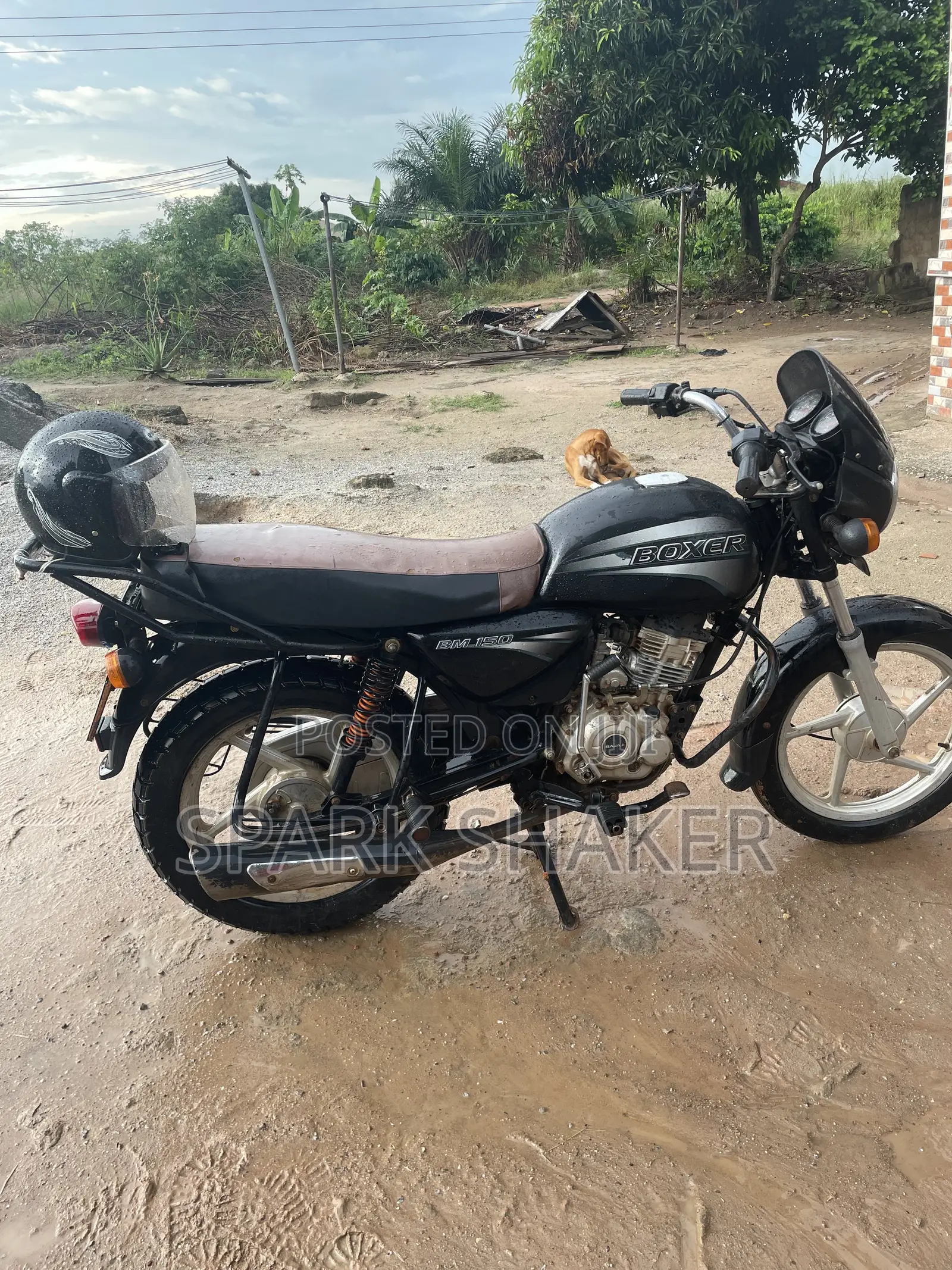 Bajaj Boxer 2020 Black