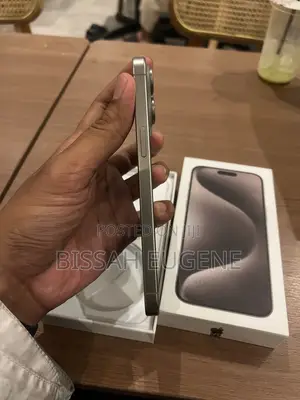 Apple iPhone 15 Pro Max 256 GB Gray