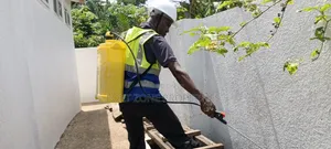 Clinic ,Home,factory Compound Fumigation With Cleantex