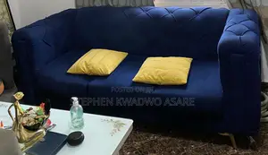 Couch/Sofa