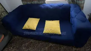Couch/Sofa
