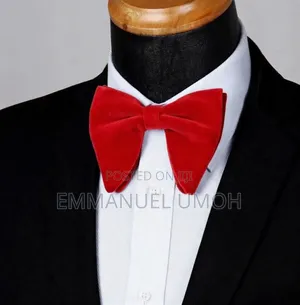 Classy Velvet Bow Tie