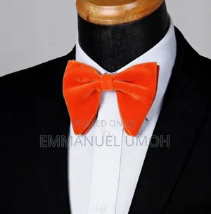 Classy Velvet Bow Tie
