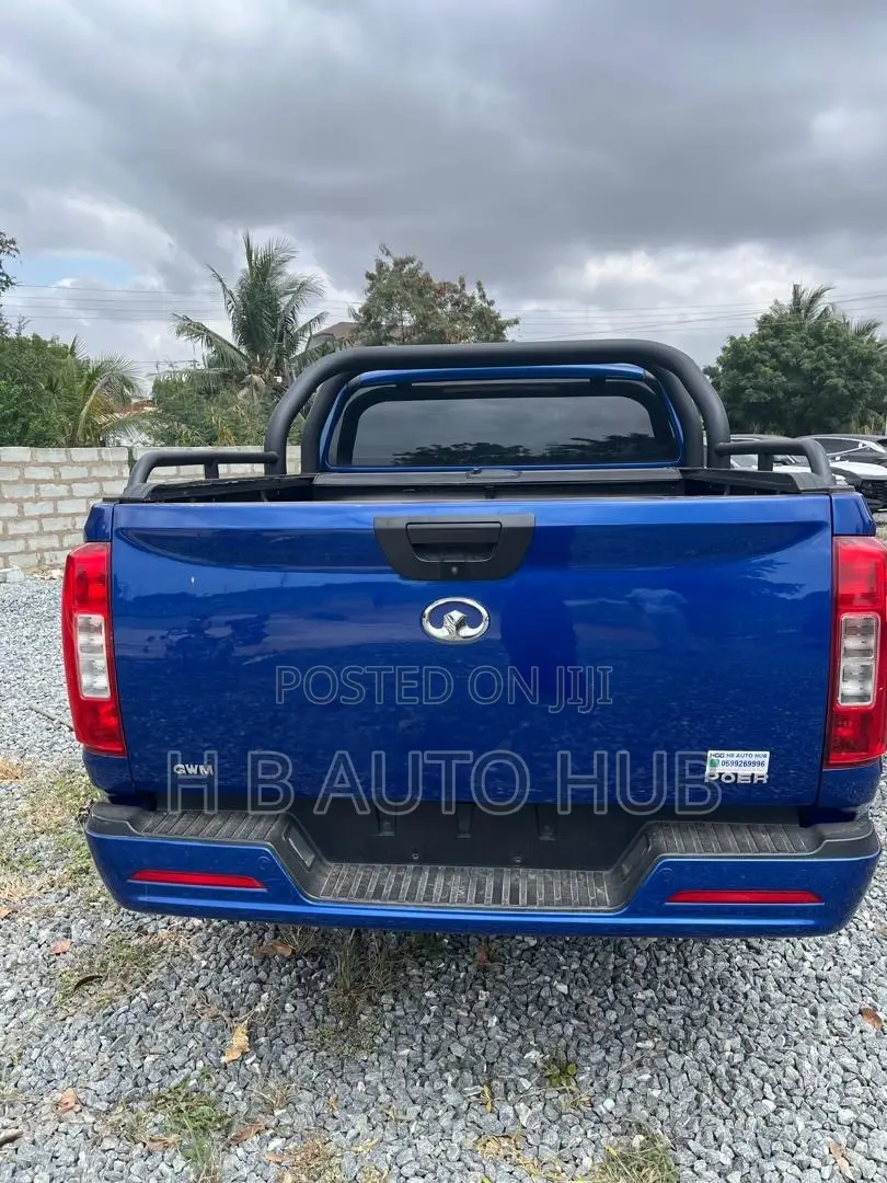 New Great Wall Poer 2024 Blue