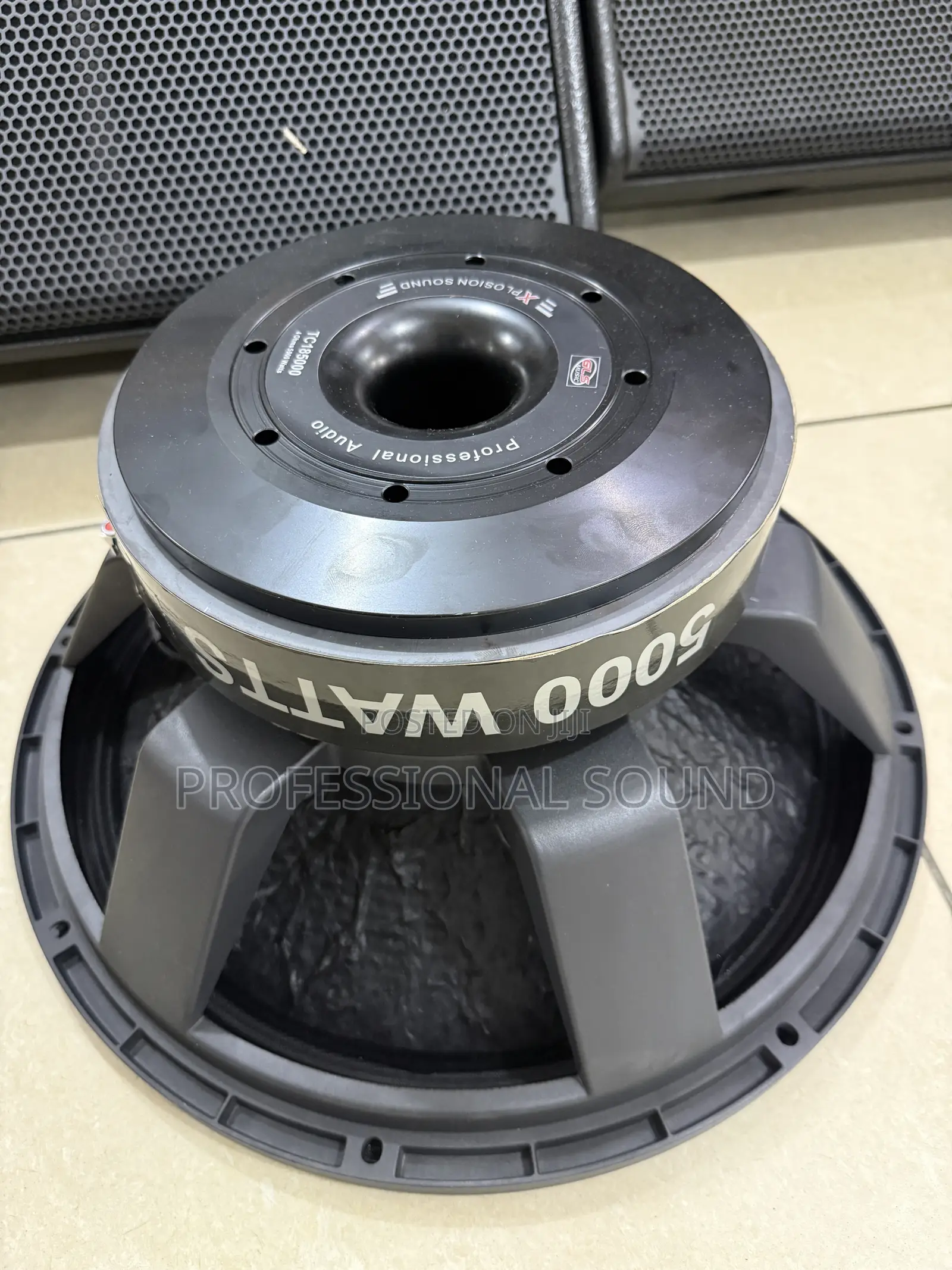 Titanic USA / GLS 18-Inch Double Magnet(5000watt)