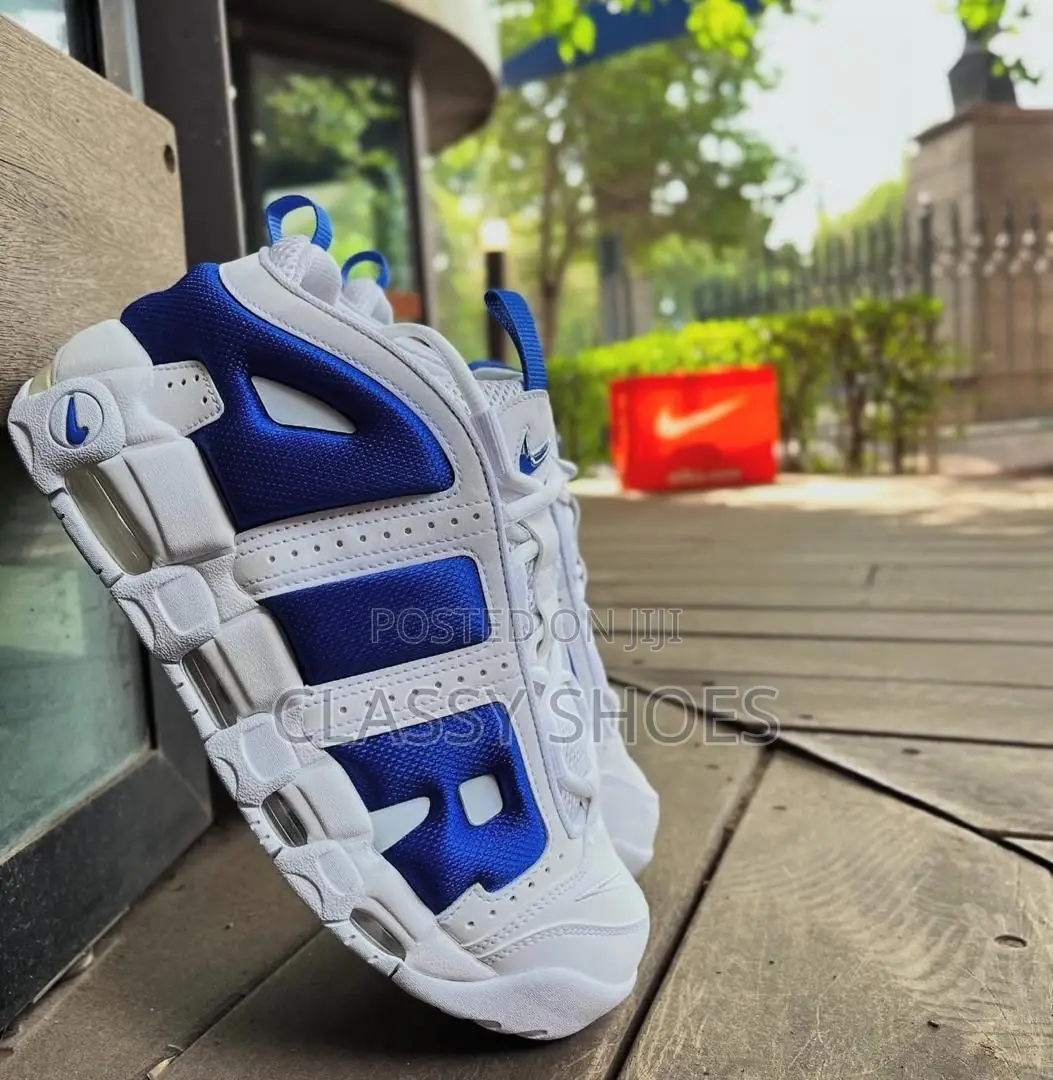 Nike Air White and Blue