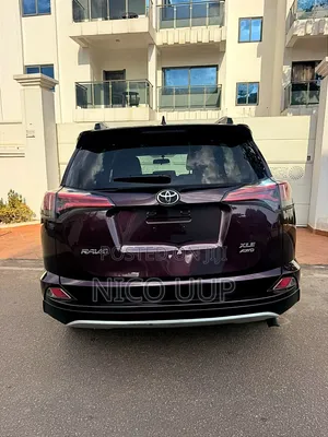 Toyota RAV4 XLE AWD (2.5L 4cyl 6A) 2017 Brown