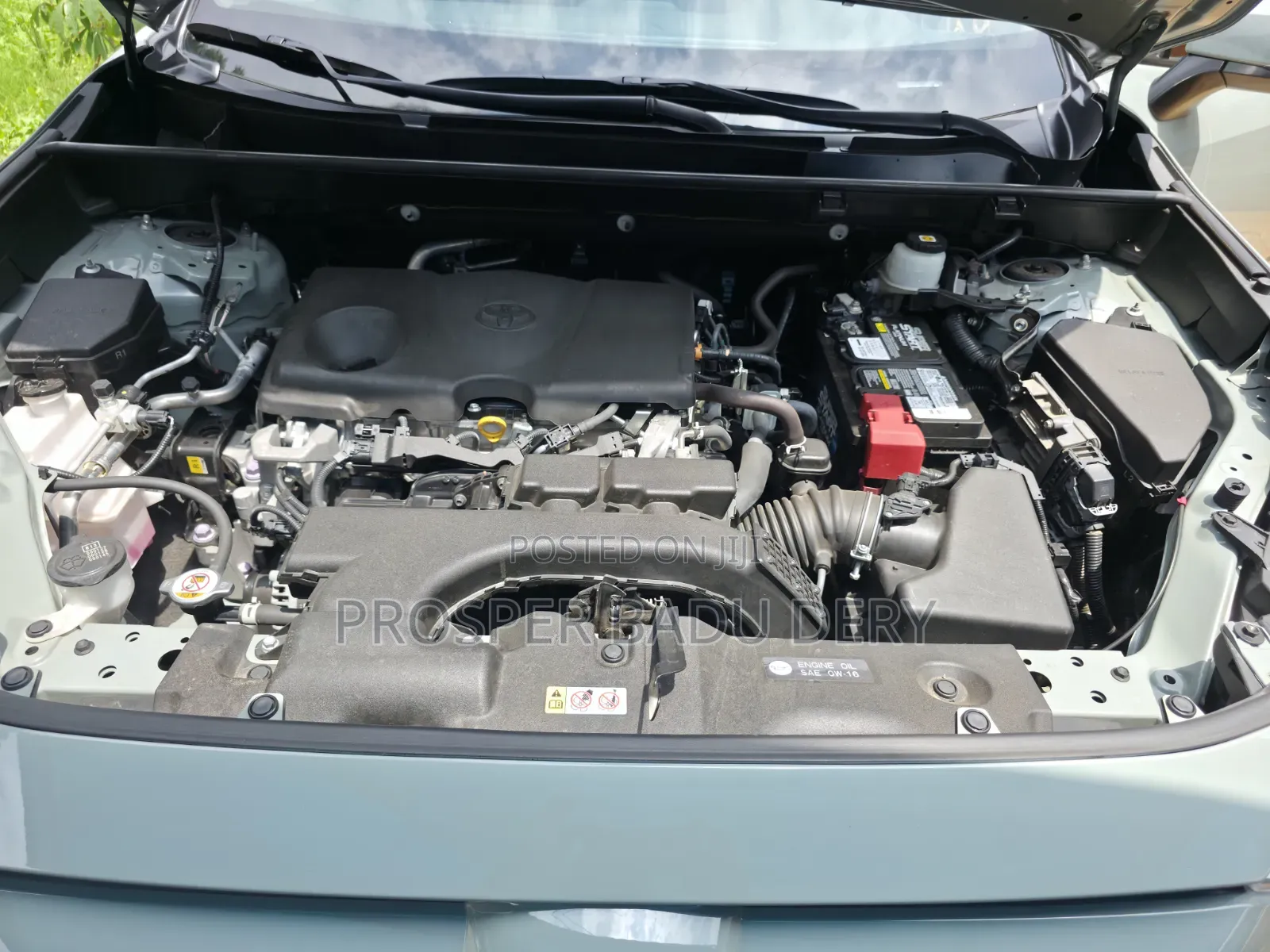 Toyota RAV4 XLE Premium 2021 Green