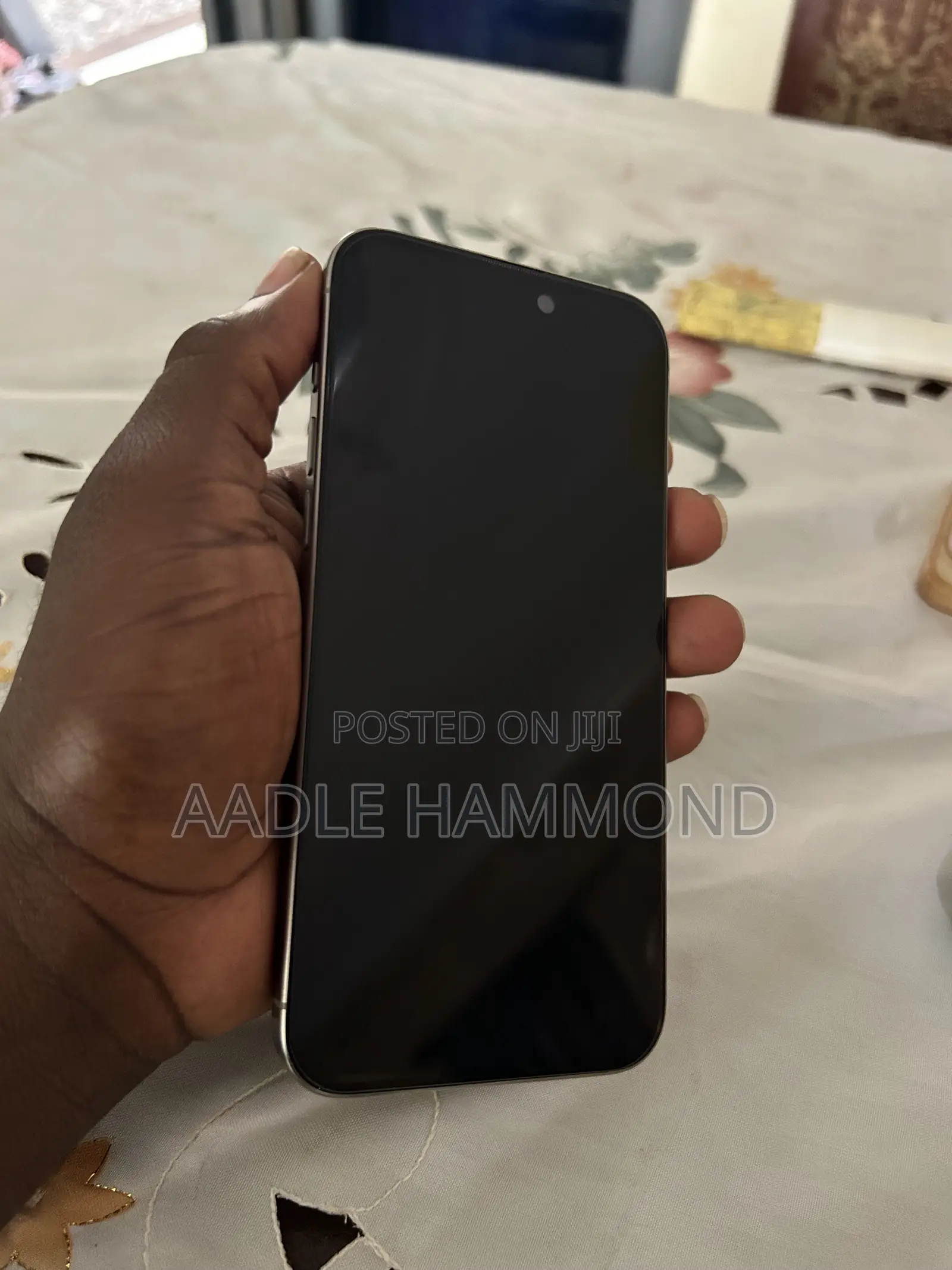 Apple iPhone 15 Pro Max 256 GB Gray