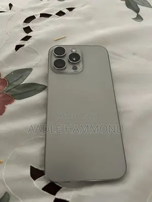 Apple iPhone 15 Pro Max 256 GB Gray