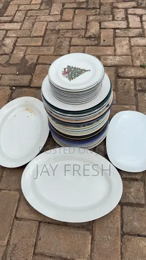35 PCS Dinner Plates