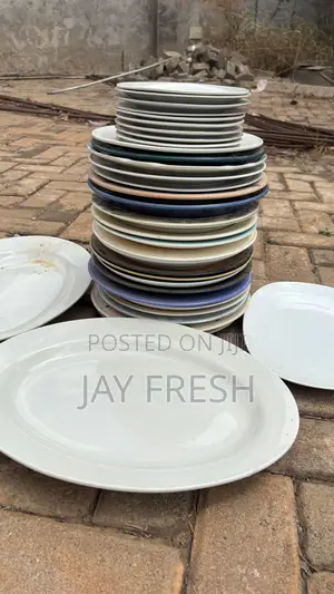 35 PCS Dinner Plates
