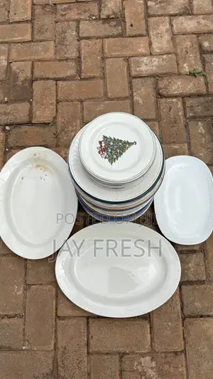 35 PCS Dinner Plates