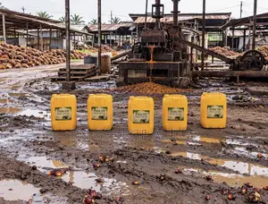 Fresh Palm Oil Red Oil