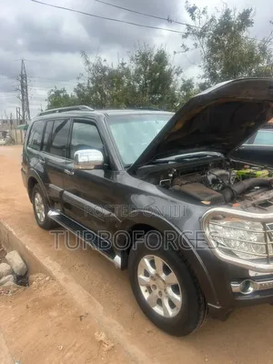 Mitsubishi Pajero 2017 Gray