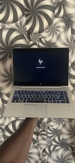 Laptop HP EliteBook 745 G6 8GB AMD Ryzen 5 SSD 256GB