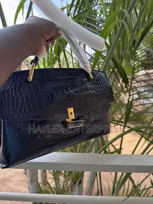 Luxurious Black Hand Bags