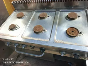 Commercial Cooker