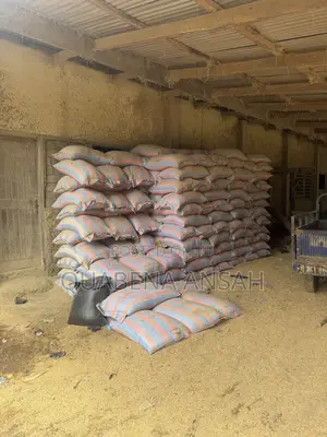 Rice Bran Rough
