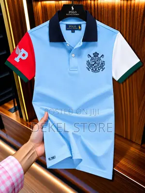 Polo Ralph Lauren Men's Colorblock Polo Shirts – Multiple Designs