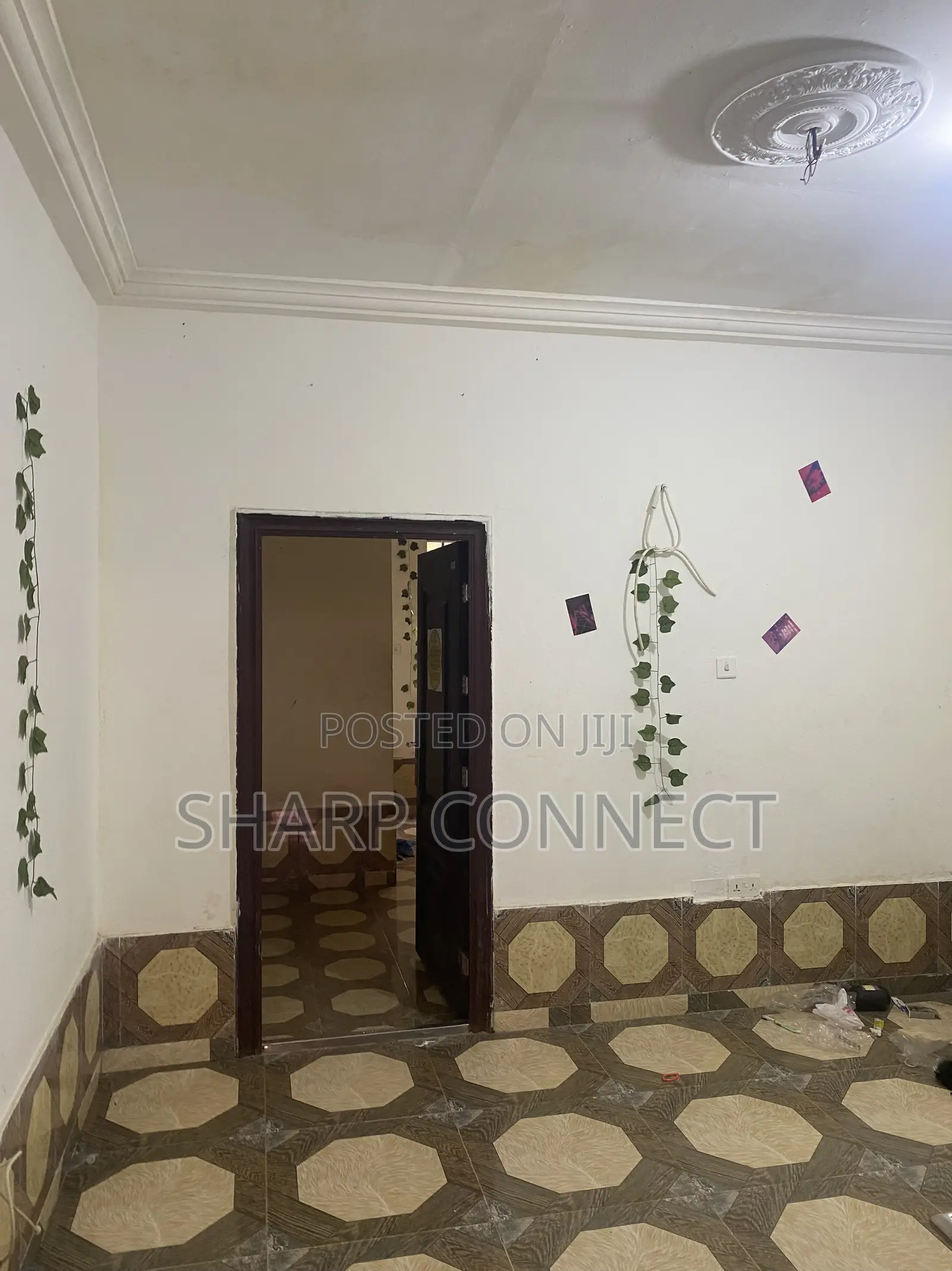 1bdrm Bedsitter in New Market Area for rent