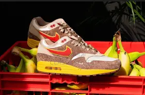 Nike Airmax New Edition