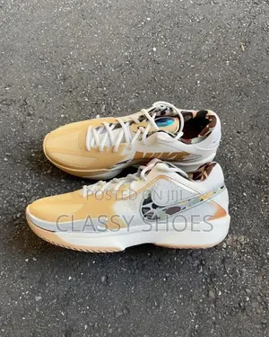Nike X LeBron