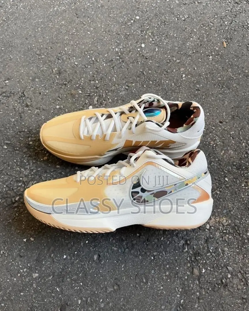 Nike X LeBron