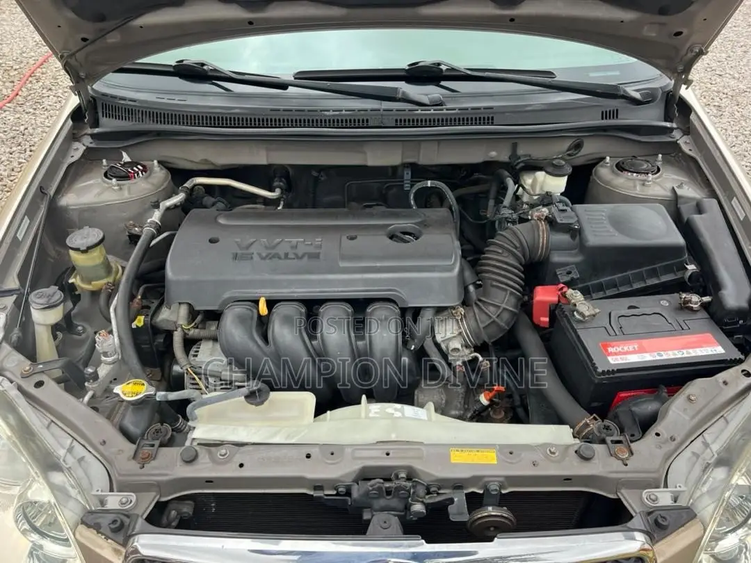 Toyota Corolla 2008 Brown