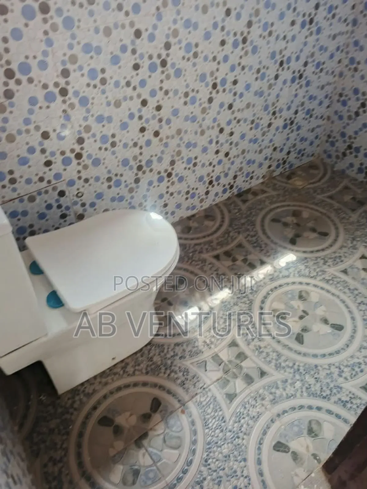 1bdrm Apartment in Ab Ventures, Adenta for rent