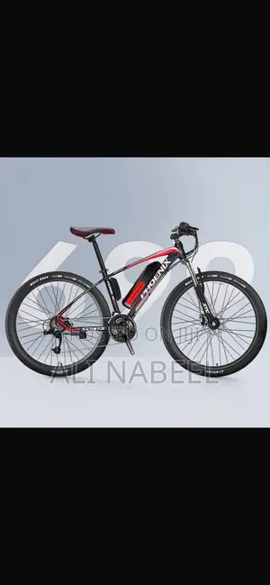 Electric Bike - Brand New - Ride-to-Own - Work & Pay