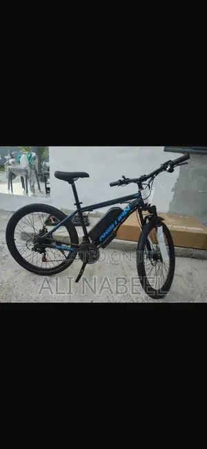 Electric Bike - Brand New - Ride-to-Own - Work & Pay