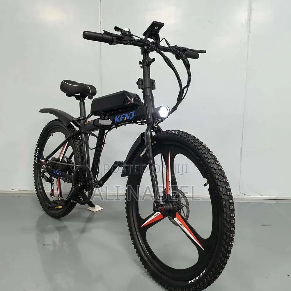 Electric Bike - Brand New - Ride-to-Own - Work & Pay