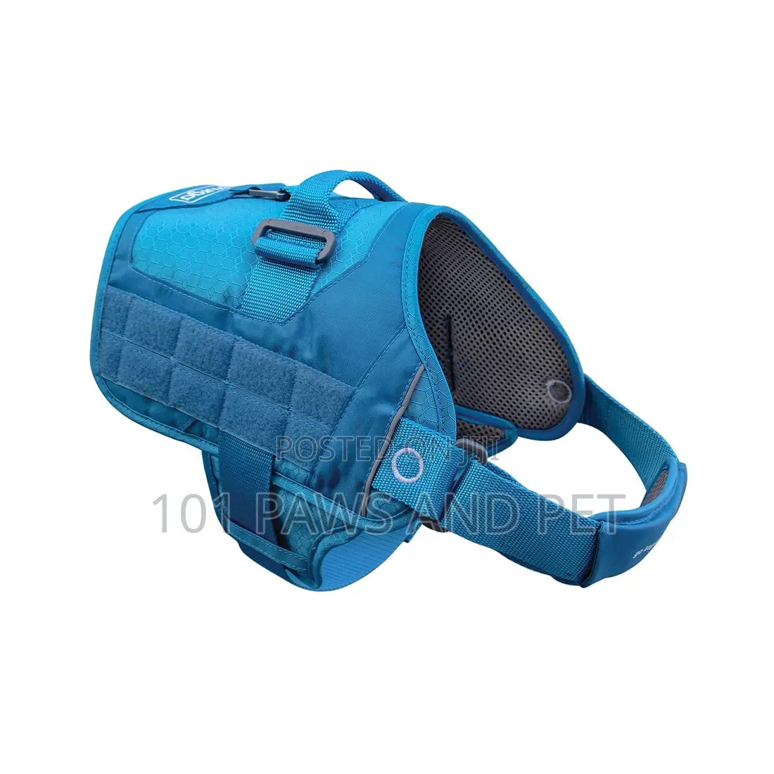 RSG Dog Townie Harness