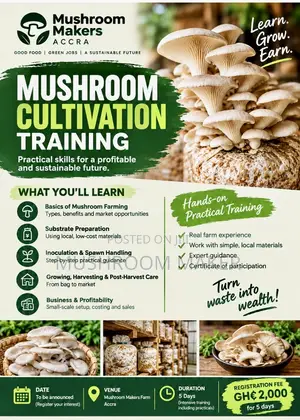 Oyster Mushroom Training