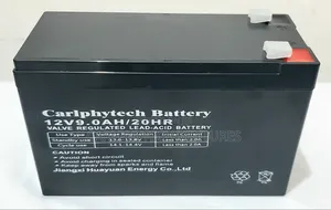 12v 9ah Batteries