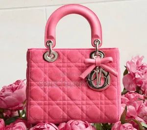 Ladies Hand Bag