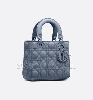 Ladies Hand Bag