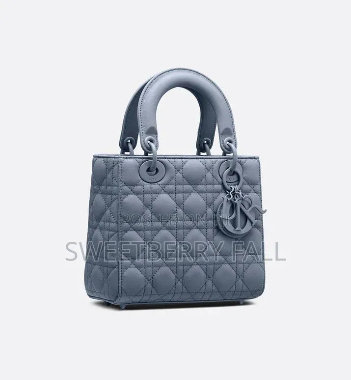 Ladies Hand Bag
